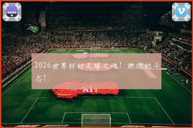 2026世界杯的足球之魂!燃烧的斗志!