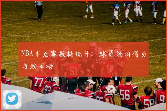 NBA季后赛数据统计：球员场均得分与效率榜